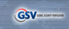 GSV֤