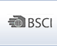 BSCI��֤��ѯ-�й��鳧��
