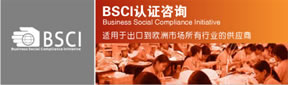 BSCI验厂咨询服务