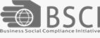 BSCI audit consulting